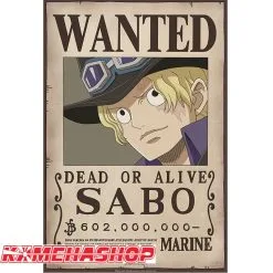 Affiche Wanted Sabo