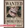 One Piece - Affiche Wanted Blackbeard Marshall.D.Teach 1 One Piece - Affiche Wanted Blackbeard Marshall.D.Teach -Otaku Boutique one piece affiche wanted blackbeard marshalldteach