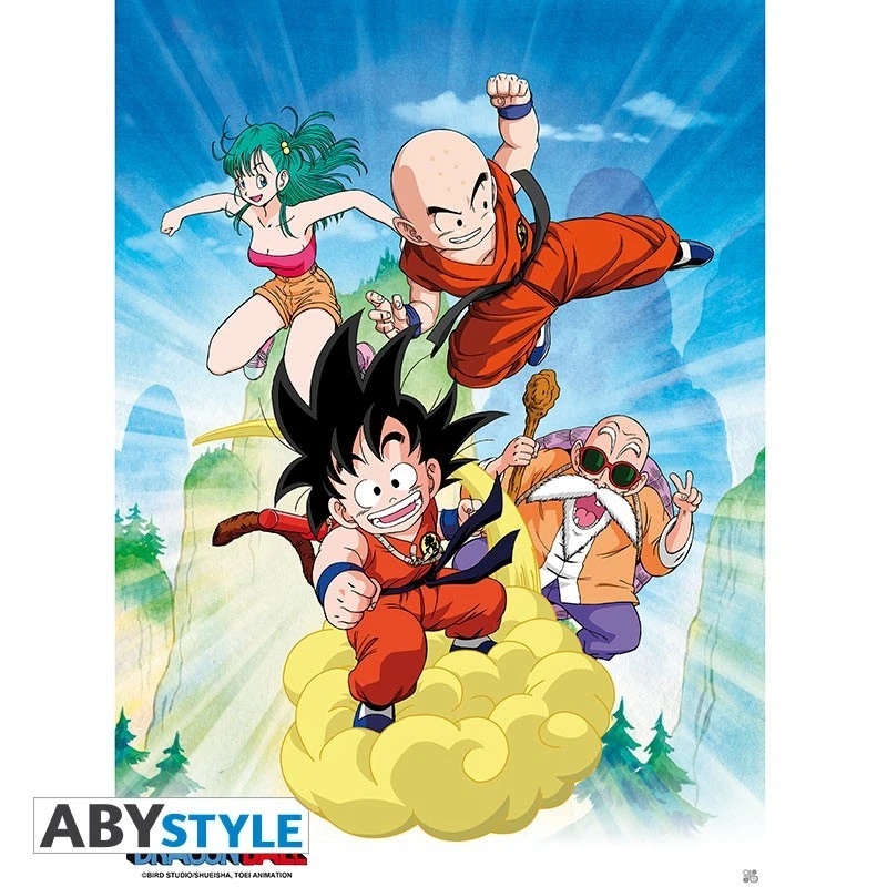 Poster Dragon Ball Groupe 3 Poster Dragon Ball Groupe