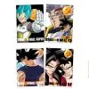 Set 2 Portes Document The Greatest Saiyan C -Otaku Boutique set 2 portes document the greatest saiyan c